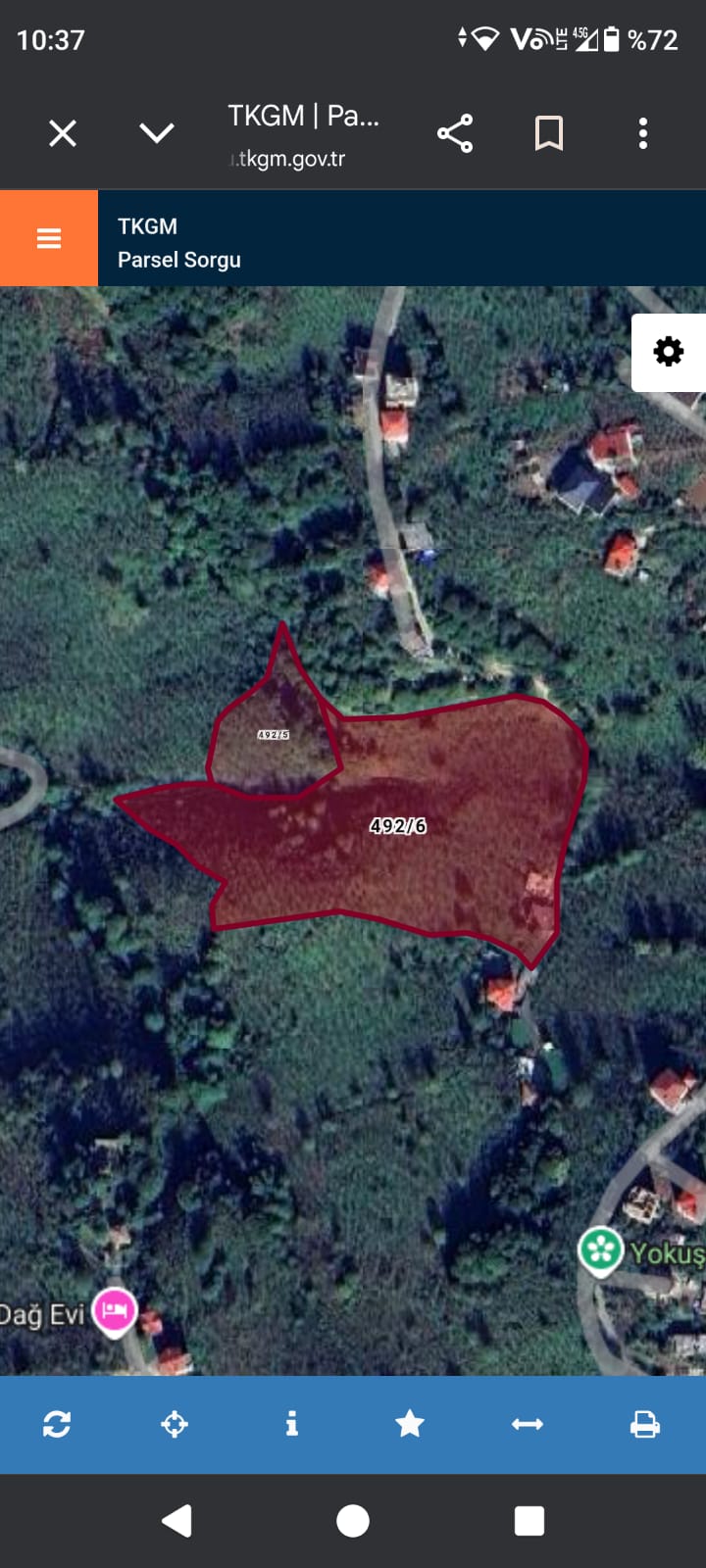 ARSİNDE YATIRIMLIK 2.8 DÖNÜM FINDIK BAHÇESİ